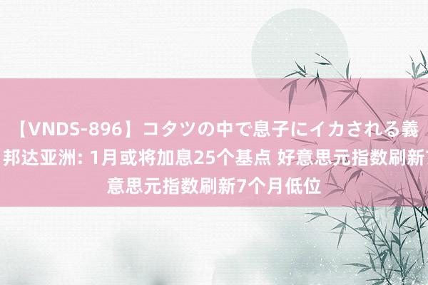 【VNDS-896】コタツの中で息子にイカされる義母 第二章 邦达亚洲: 1月或将加息25个基点 好意思元指数刷新7个月低位