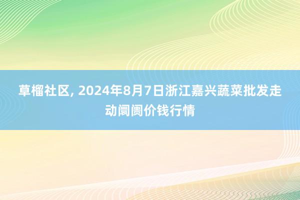 草榴社区, 2024年8月7日浙江嘉兴蔬菜批发走动阛阓价钱行情