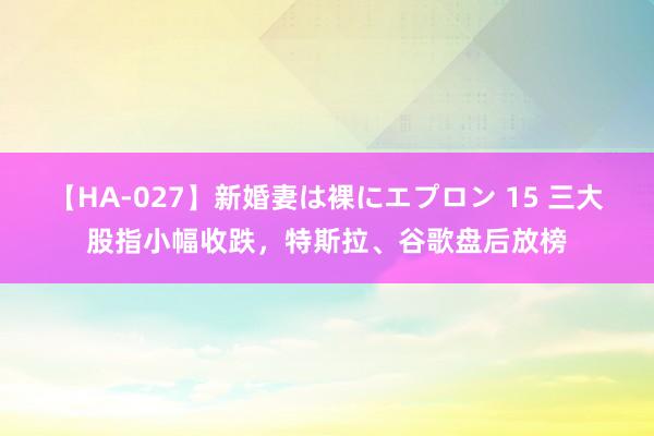 【HA-027】新婚妻は裸にエプロン 15 三大股指小幅收跌，特斯拉、谷歌盘后放榜