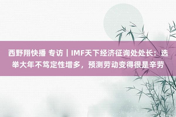 西野翔快播 专访｜IMF天下经济征询处处长：选举大年不笃定性增多，预测劳动变得很是辛劳