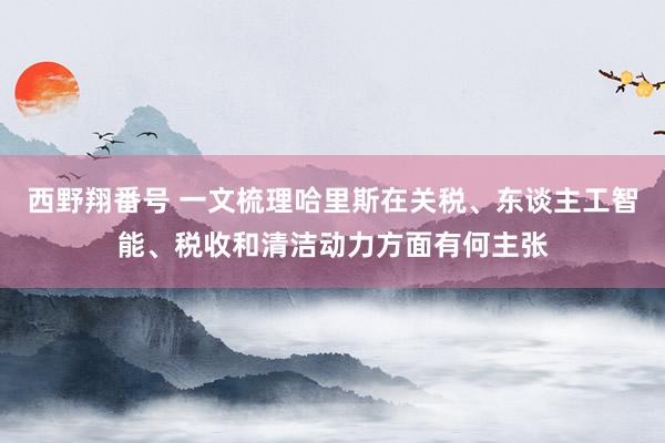 西野翔番号 一文梳理哈里斯在关税、东谈主工智能、税收和清洁动力方面有何主张