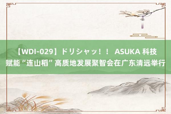 【WDI-029】ドリシャッ！！ ASUKA 科技赋能“连山稻”高质地发展聚智会在广东清远举行