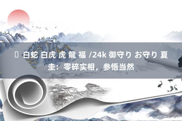 ✨白蛇 白虎 虎 龍 福 /24k 御守り お守り 夏圭：零碎实相，参悟当然