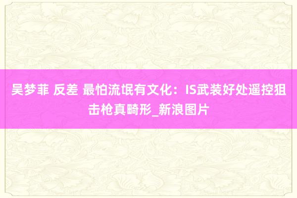 吴梦菲 反差 最怕流氓有文化：IS武装好处遥控狙击枪真畸形_新浪图片