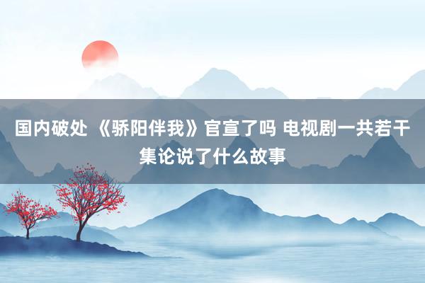 国内破处 《骄阳伴我》官宣了吗 电视剧一共若干集论说了什么故事