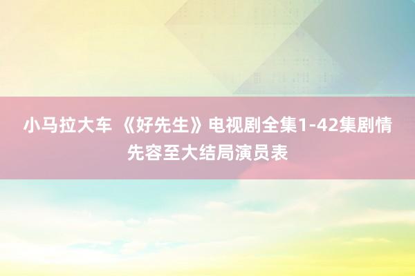 小马拉大车 《好先生》电视剧全集1-42集剧情先容至大结局演员表