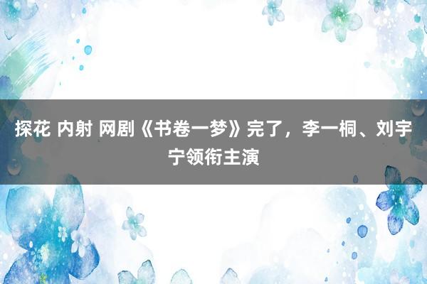 探花 内射 网剧《书卷一梦》完了，李一桐、刘宇宁领衔主演