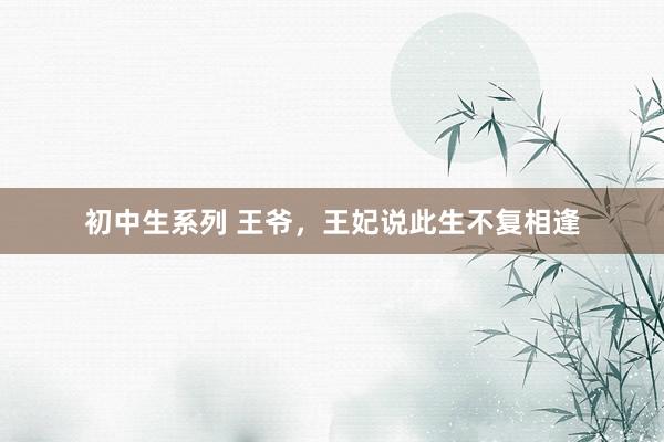 初中生系列 王爷，王妃说此生不复相逢