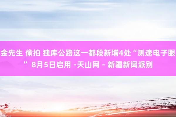 金先生 偷拍 独库公路这一都段新增4处“测速电子眼” 8月5日启用 -天山网 - 新疆新闻派别