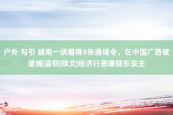 户外 勾引 越南一须眉得5张通缉令，在中国广西被逮捕|盗窃|禄文|经济行恶嫌疑东谈主