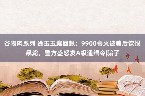 谷物肉系列 徐玉玉案回想：9900膏火被骗后饮恨暴毙，警方盛怒发A级通缉令|骗子